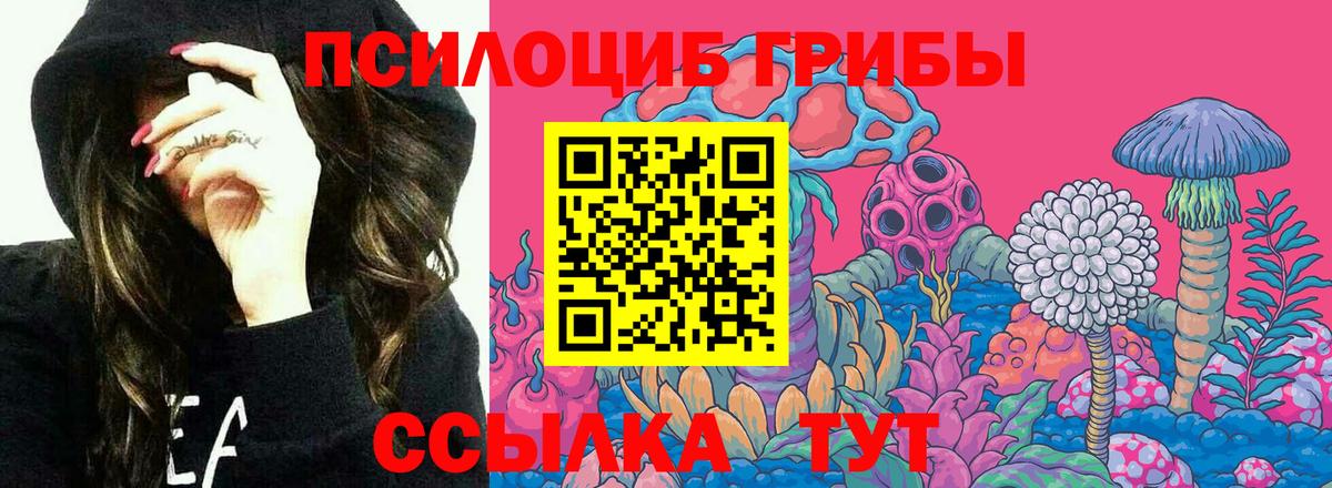 Карпинск  Псилоцибиновые грибы мицелий  Вход с VPN 