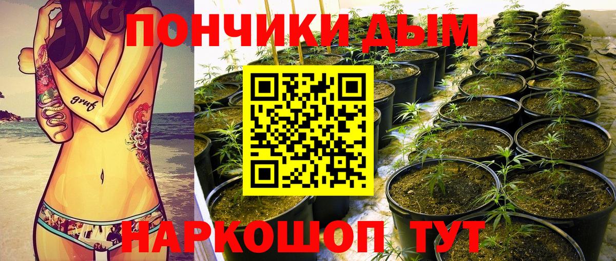 Конопля планчик Карпинск